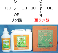 リン酸と亜リン酸：ホスプラスの写真