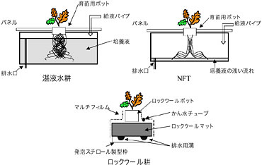 ウール 栽培 ロック